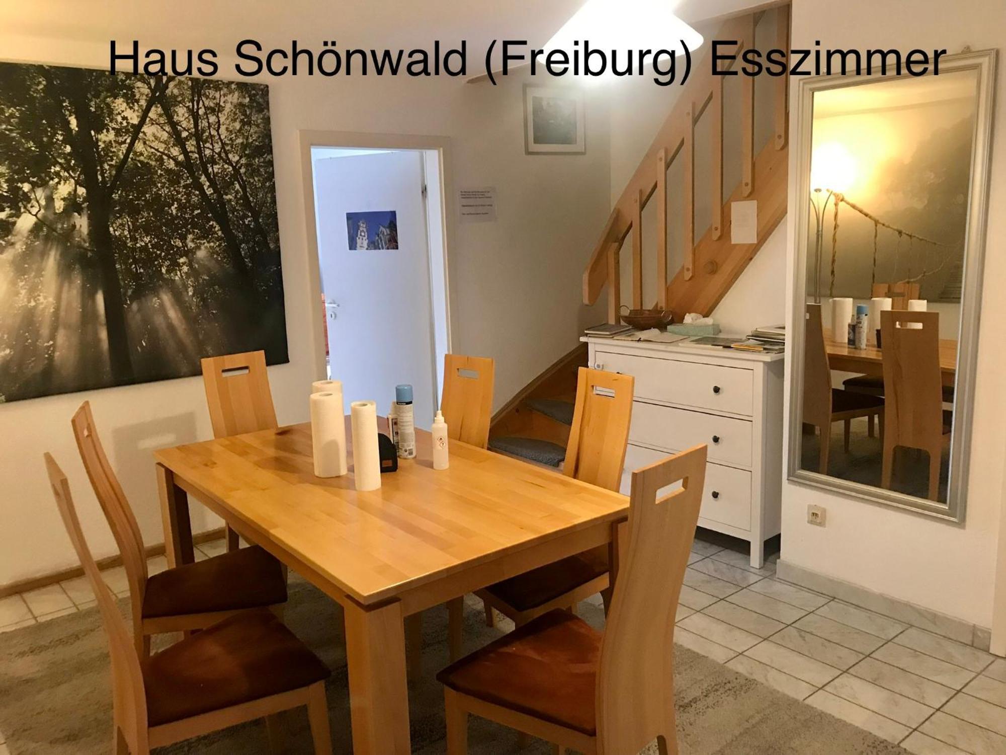 Haus Schoenwald Freiburg im Breisgau Ngoại thất bức ảnh