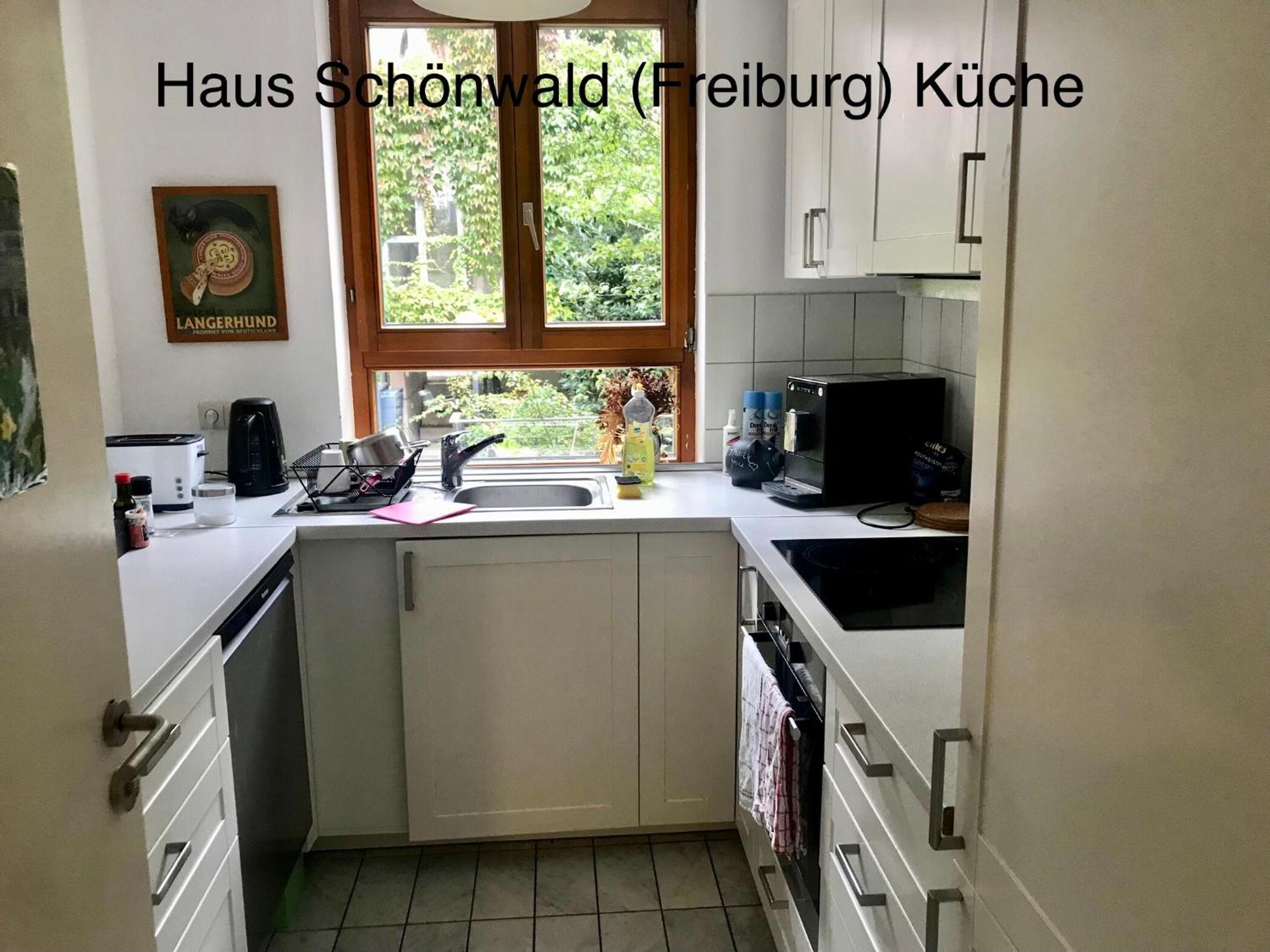 Haus Schoenwald Freiburg im Breisgau Ngoại thất bức ảnh