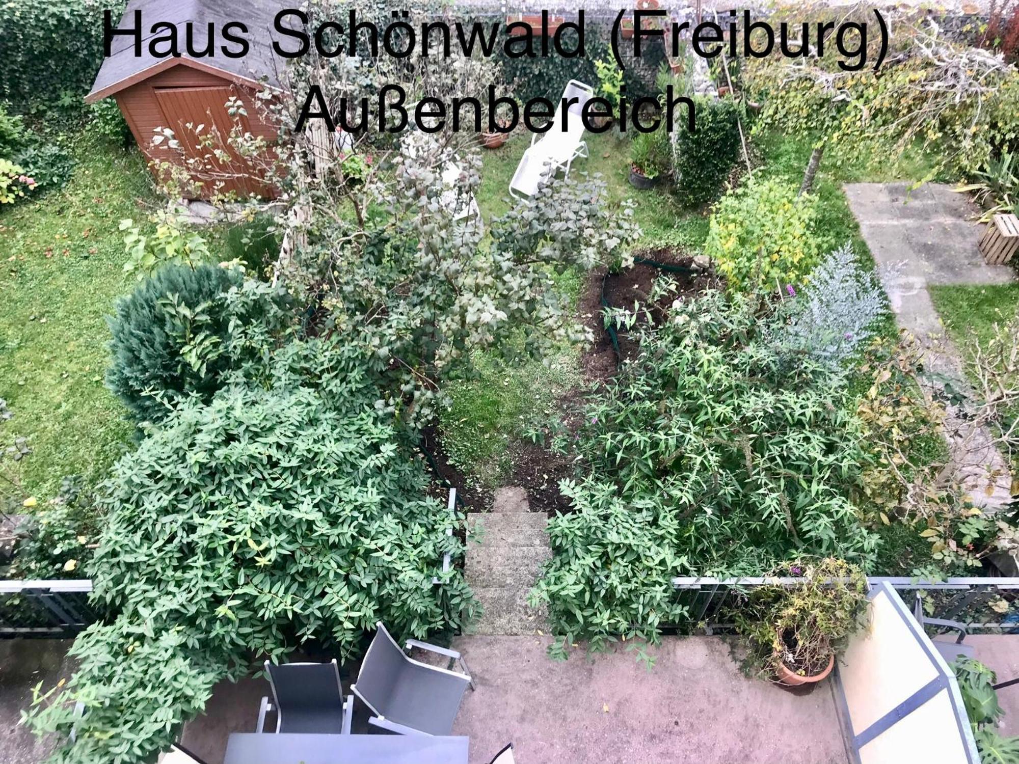 Haus Schoenwald Freiburg im Breisgau Ngoại thất bức ảnh